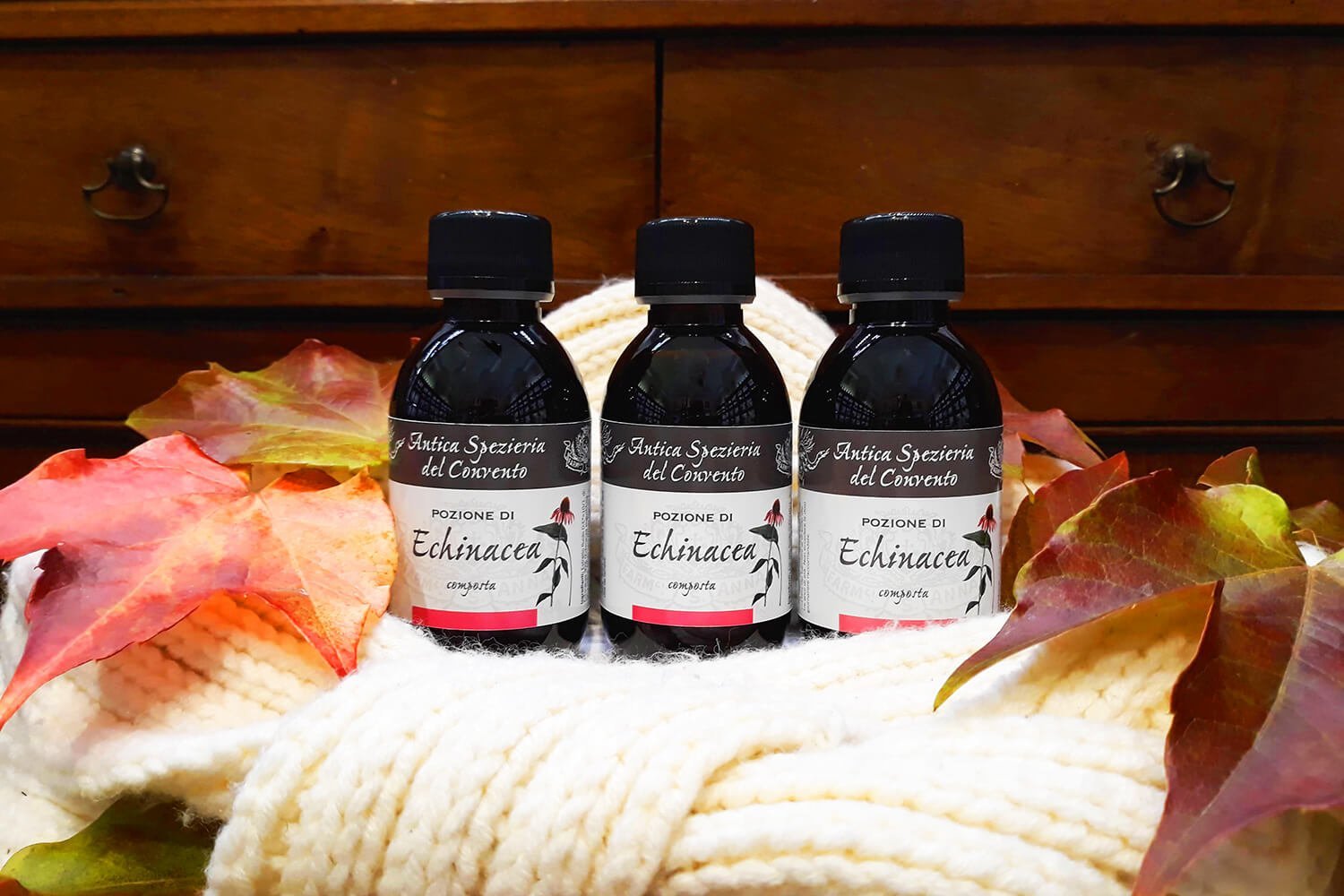 Antica Farmacia Sant'Anna Genova_echinacea_autunno20