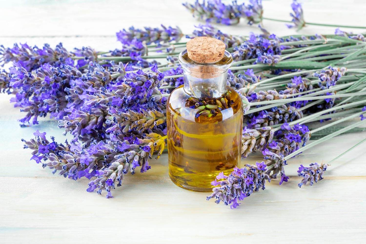 Lavender essential oil with fresh lavender flowers