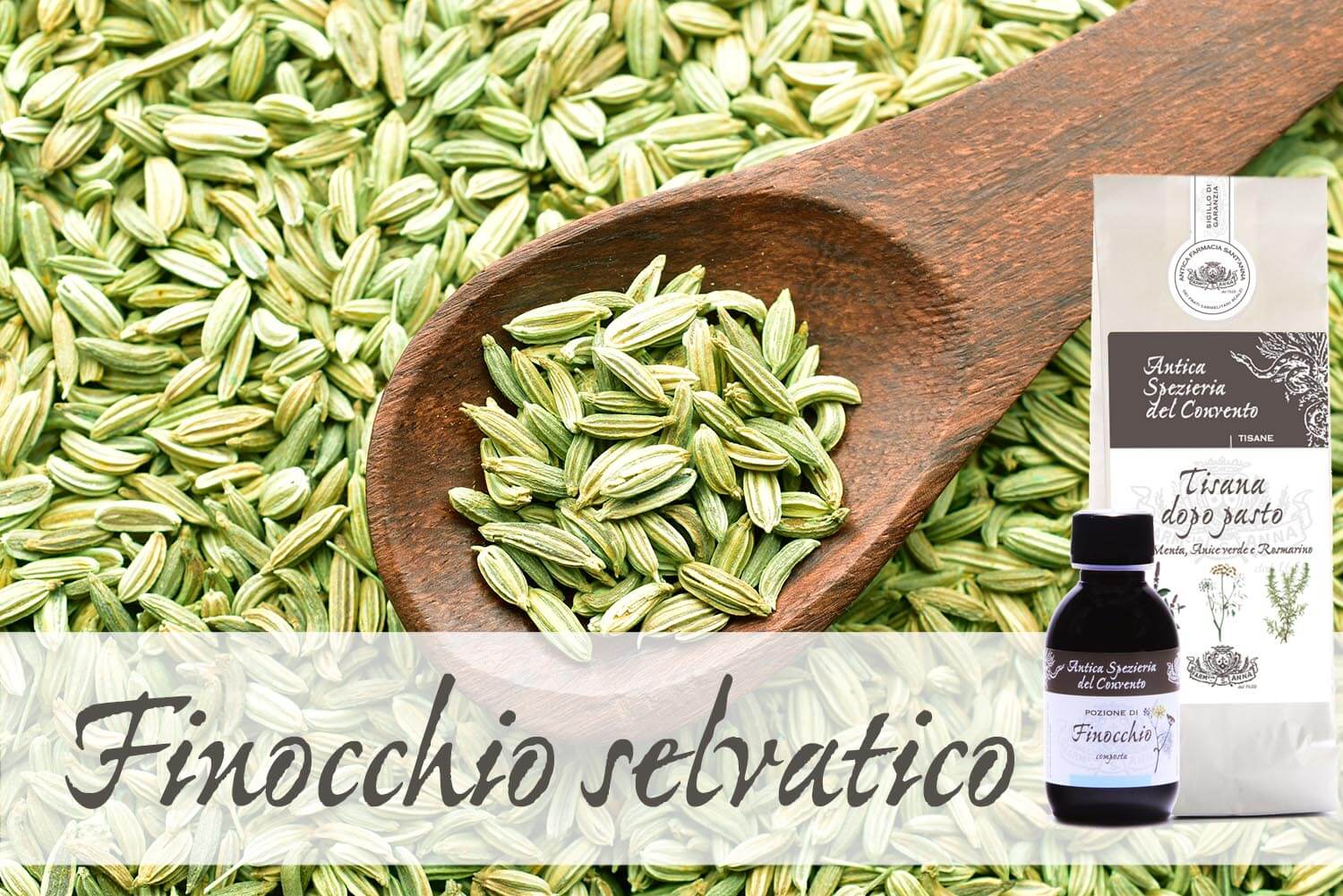 Top view of fennel seeds on wooden spoon, close-up, saunf