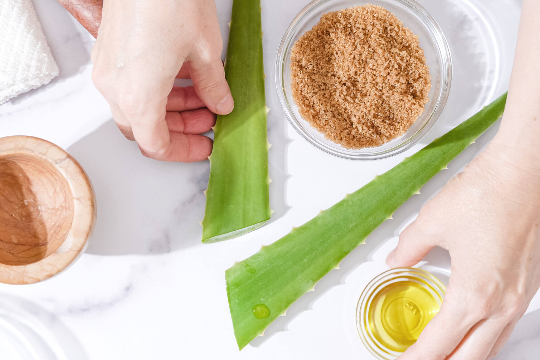 La ricetta: scrub di primavera rigenerante all'Aloe vera! | Antica  Farmacia-Erboristeria S. Anna