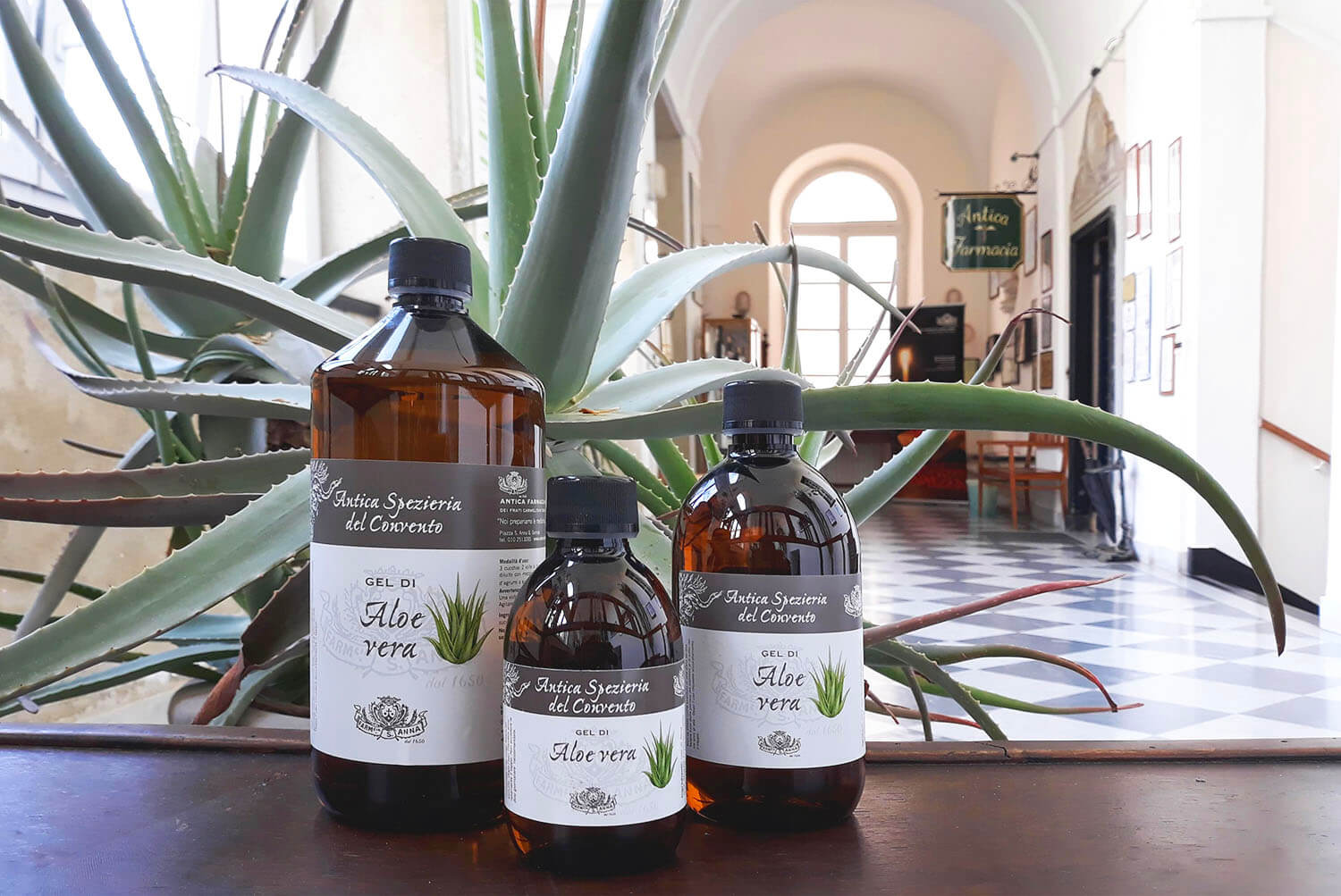 Farmacia Sant'Anna Genova_aloe-estate