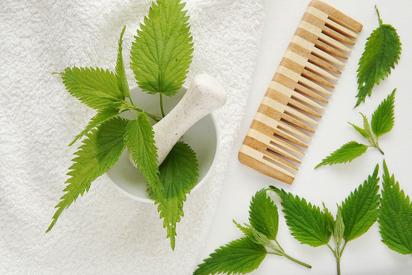 Mortar and pestle with fresh stinging nettle leaves, hair comb,