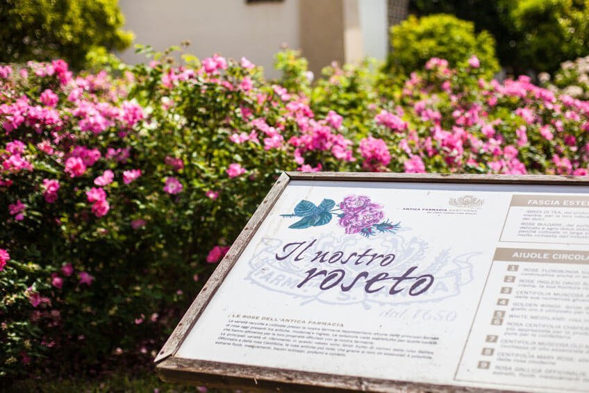 Farmacia Sant'Anna_roseto