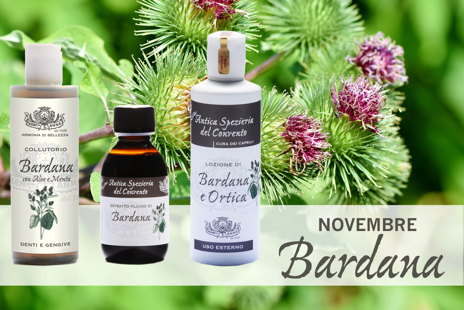 Farmacia sant'Anna Genova_NOVEMBRE-bardana