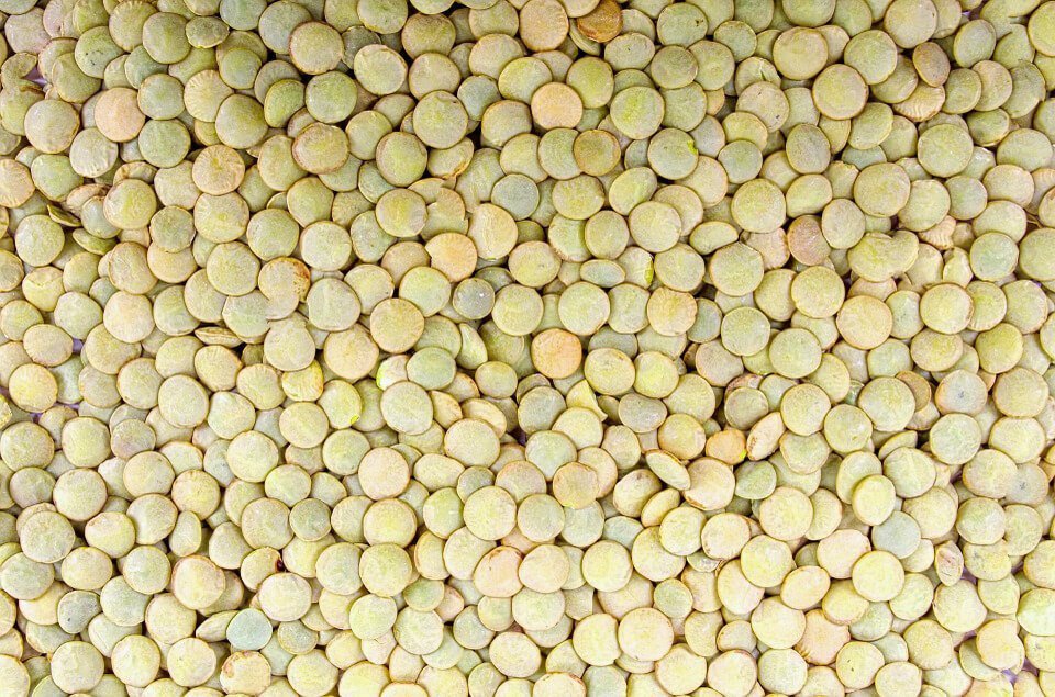 LENTICCHIA (Lens esculenta) Antica FarmaciaErboristeria S. Anna